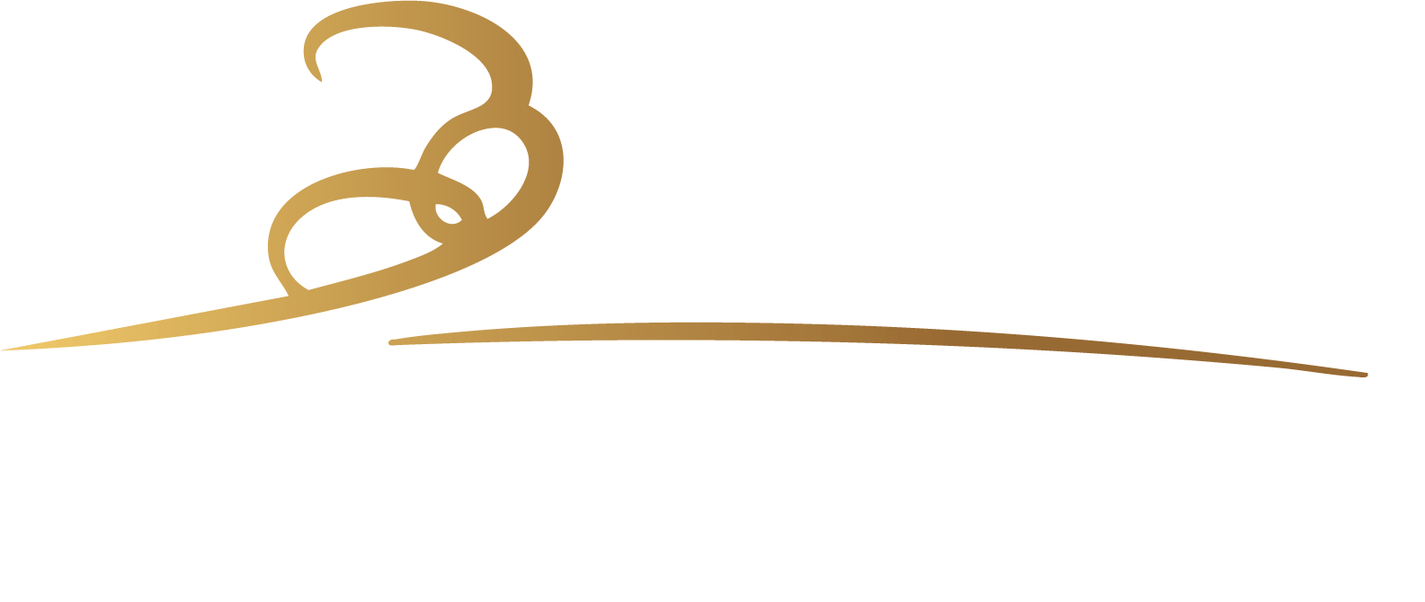 Logo Orion